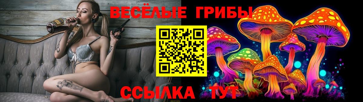 Псилоцибиновые грибы GOLDEN TEACHER  Вход с VPN  Ликино-Дулёво  Псилоцибиновые грибы мицелий 